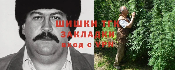 эйфоретик Арсеньев