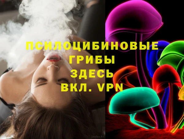 эйфоретик Арсеньев