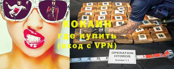 эйфоретик Арсеньев